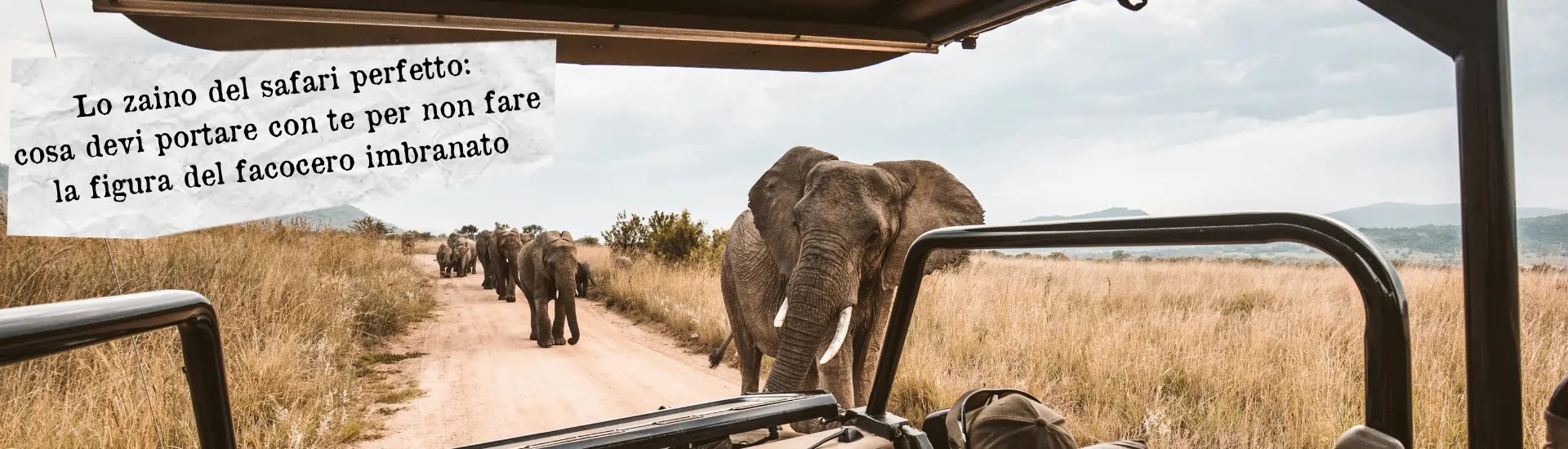 Safari zaino perfetto larga